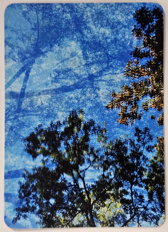 09.17.2024 | Summer Sky