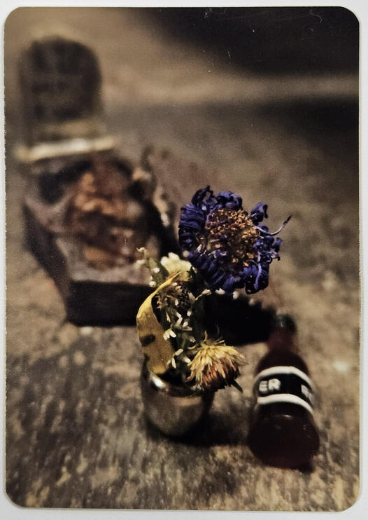 09.02.2024 | Grave Robbed