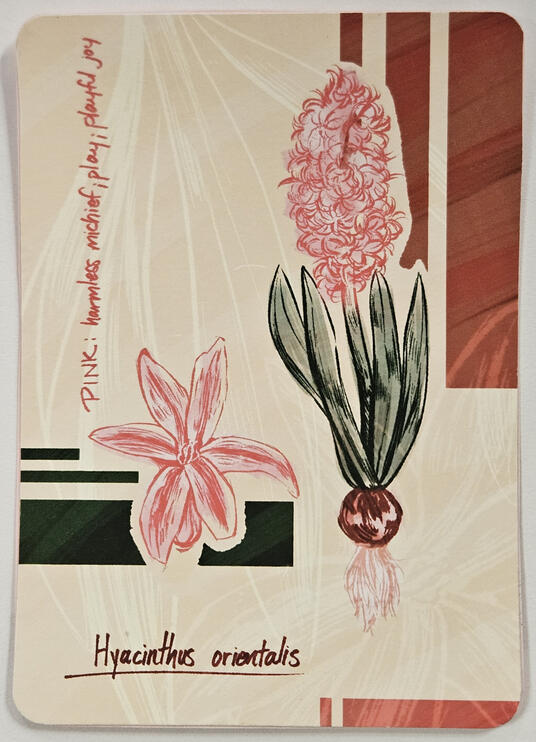 09.09.2024 | Hyacinthus