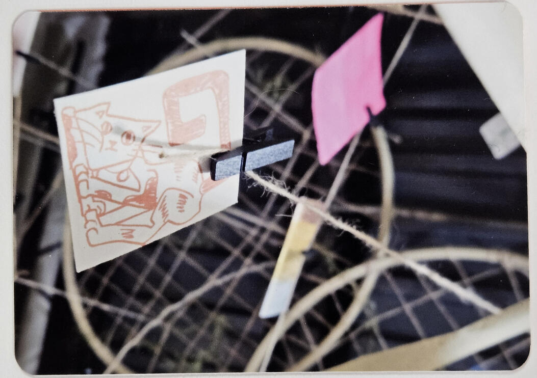 09.14.2024 | Cat Catcher