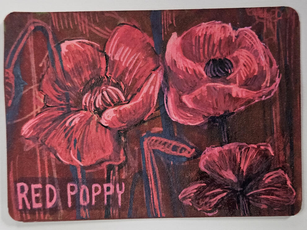08.26.2024 | Red Poppy