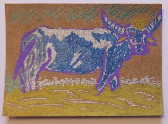 2025 | Bull | Enjoy the Cosmos @brandonsimmons480